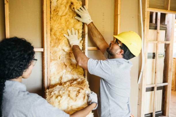 Best Insulation Removal  in Lavon, TX